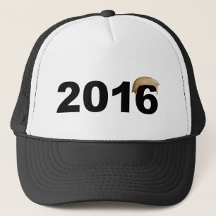 Trump Hair 2016 Petten