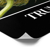 Trump Hair Poster (Hoek)