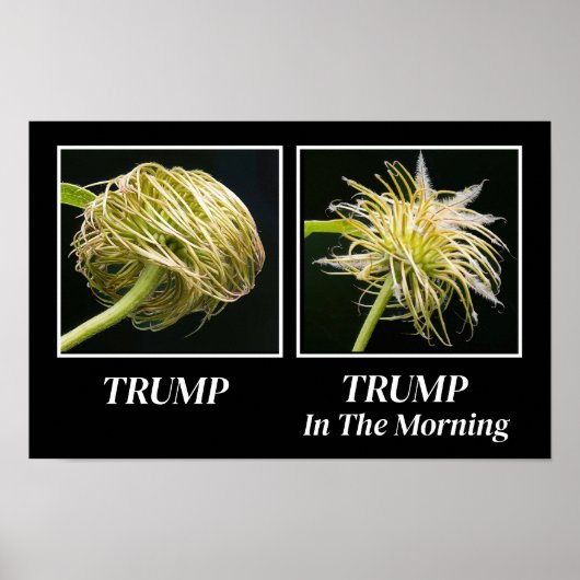 Trump Hair Poster (Voorkant)