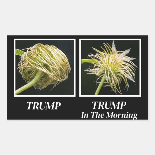 Trump Hair Rechthoekige Sticker (Voorkant)