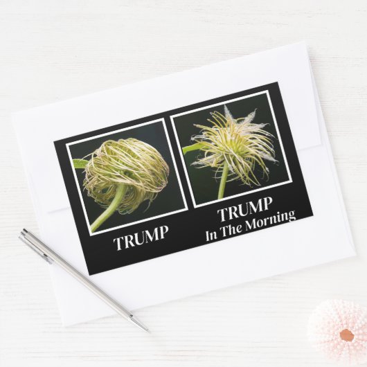 Trump Hair Rechthoekige Sticker (Envelop)