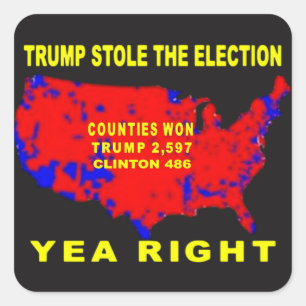 TRUMP HEEFT DE VERKIEZINGEN GESTOLEN VIERKANTE STICKER