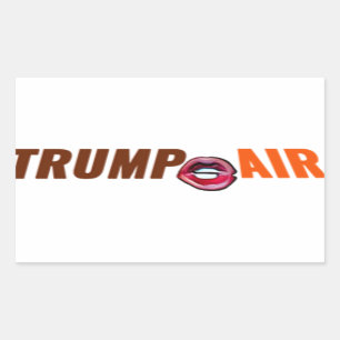 Trump Hete Lucht Cartoon Duidelijk Rechthoekige Sticker