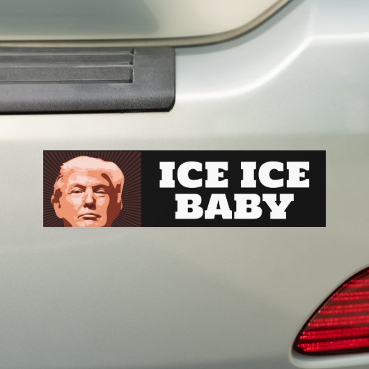 TRUMP ICE ICE BABYBUMPER STICKER (Op auto)