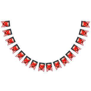 Trump Impeachment Party Vlaggetjes