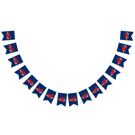 Trump Impeachment Party Vlaggetjes (Alle)