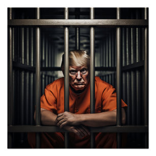 Trump in de gevangenis perfect poster