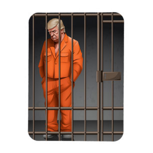Trump in Jail Flexible Photo Magnet Magneet