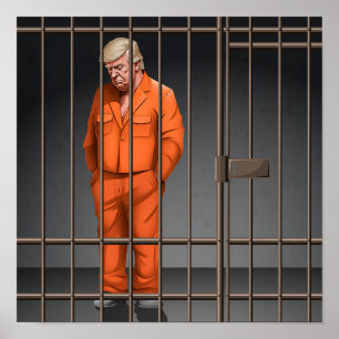 Trump in Jail Print, Value Poster Paper (Matte) 12