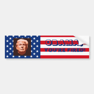 Trump Inauguration 2017 Bumpersticker