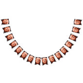 Trump Inauguration 2017 Vlaggetjes (Alle)