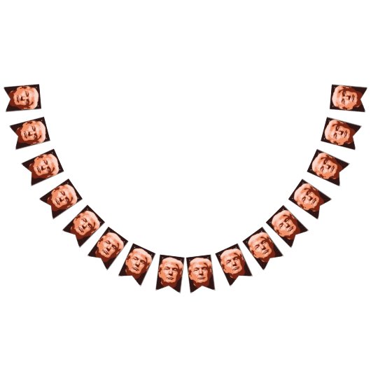 Trump Inauguration 2017 Vlaggetjes (Alle)