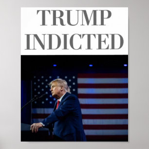 Trump Indicated Poster