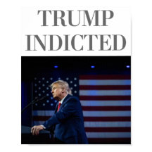 Trump Indicated Poster
