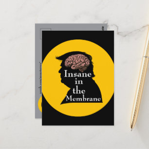 Trump/Insane Briefkaart