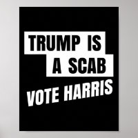 Trump is een schurk stem Harris 2
