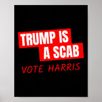 Trump is een schurk stem Harris