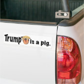Trump is een varken bumpersticker (Op Truck)