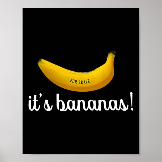 Trump It's Nana (voor Scale) Funny 2 Poster (Voorkant)