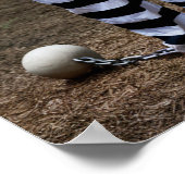 Trump Jail Poster (Hoek)