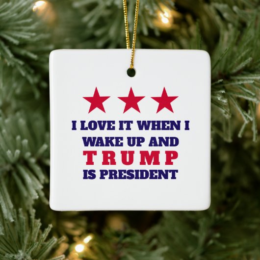 TRUMP Kerstboom Ornament Decor (Boom)