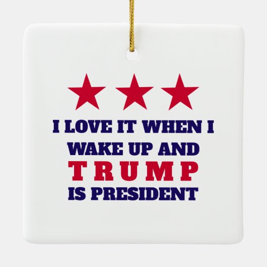 TRUMP Kerstboom Ornament Decor (Achterkant)