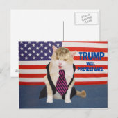 Trump Kitty Ansichtkaart Briefkaart (Voorkant / Achterkant)