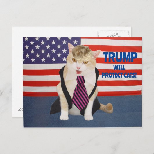 Trump Kitty Postcard Briefkaart (Voorkant / Achterkant)