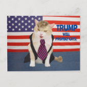Trump Kitty Postcard Briefkaart (Voorkant)