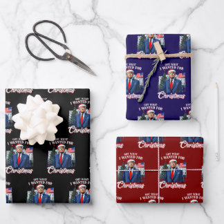 Trump kreeg wat ik wilde voor Kerstmis Inpakpapier Vel