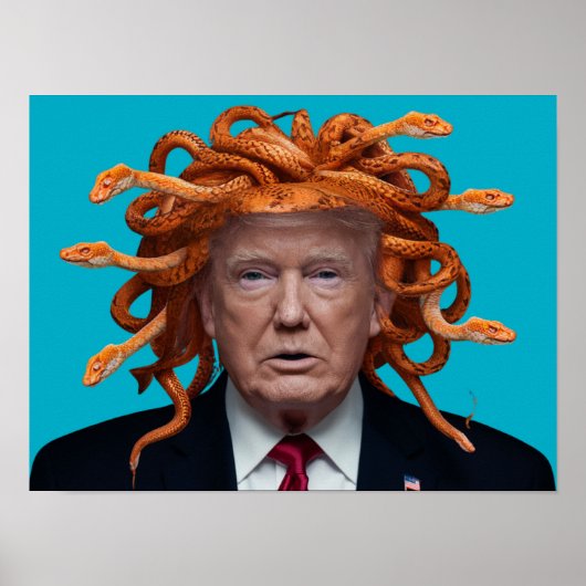 Trump Medusa Poster (Voorkant)
