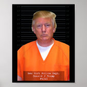 Trump Mok Shot Range Jumpsuit Parodie Achter Bars Poster (Voorkant)