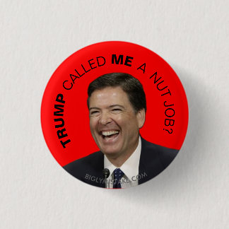 TRUMP NOEMDE ME EEN NUT TAAK? RONDE BUTTON 3,2 CM
