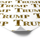 TRUMP POSTER (Hoek)