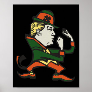 Trump St. Paddy's Grappige Trump St Patrick's Dag Poster