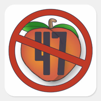 Trump-Sticker afzetten Vierkante Sticker