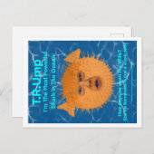 Trump the Blowfish Briefkaart (Voorkant / Achterkant)