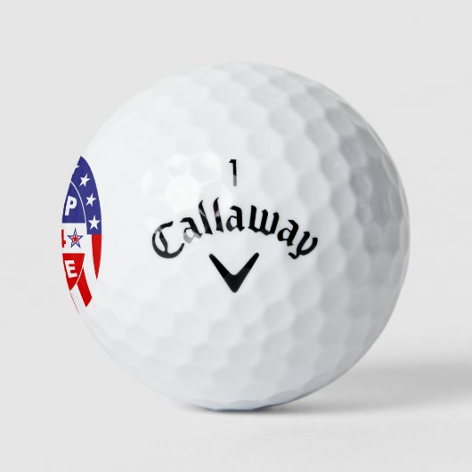 TRUMP VANCE 2024 GOLFBALLEN (Logo)
