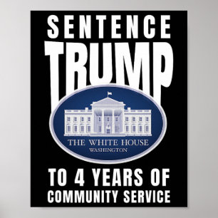 Trump vier jaar gemeenschapsdienst 9 poster
