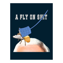 Trump vliegt op Pence Head met Flyswatter, ZFJ