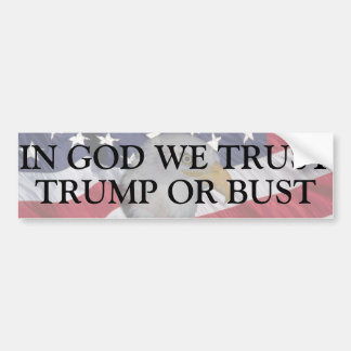 TRUMP VOOR PRESIDENT BUMPERSTICKER