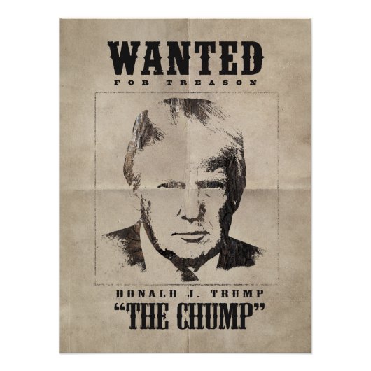 Trump wilde Poster - Trump de Chump (Voorkant)