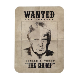 Trump wilde Poster - Trump de Chump Magneet