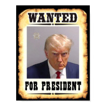 Trump wilde President-Poster