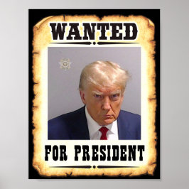 Trump wilde President-Poster Poster