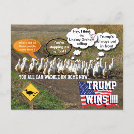 Trump wint briefkaart