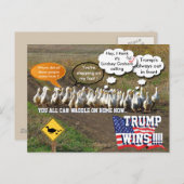 Trump wint briefkaart (Voorkant / Achterkant)