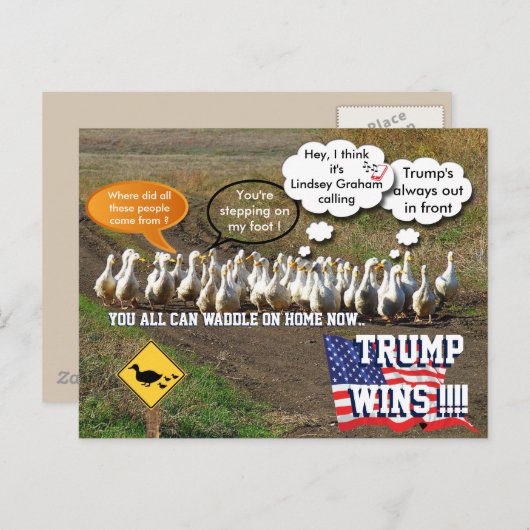 Trump wint briefkaart (Voorkant / Achterkant)