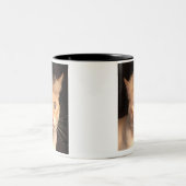 Trump Your Cat Mok (Center)