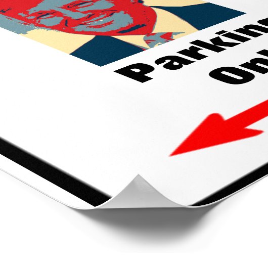 Trump Zone Parkeerteken Poster (Hoek)